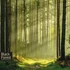 Kép 2/9 - Black Forest