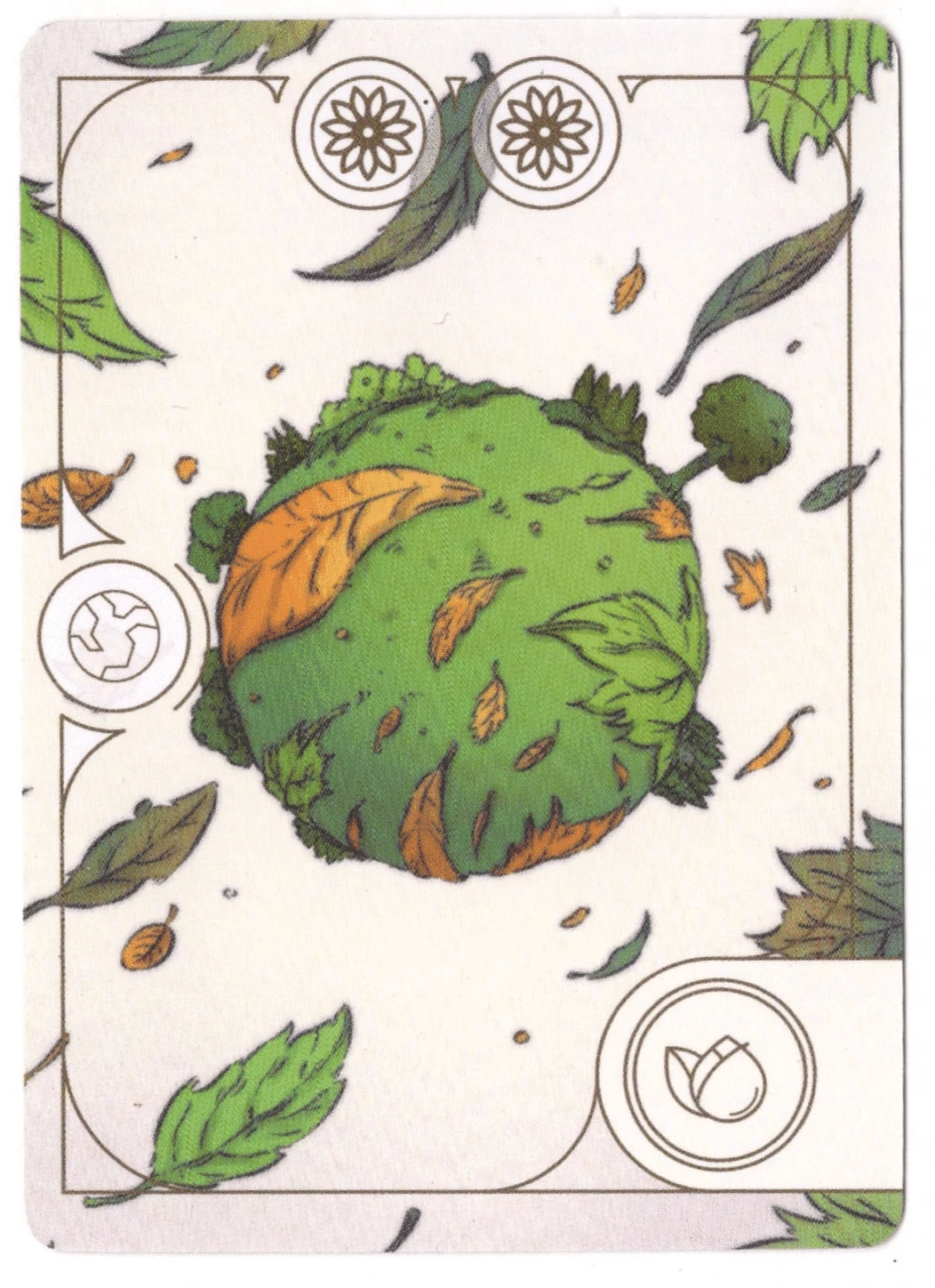 Evergreen - Promo Wildcard Fertility